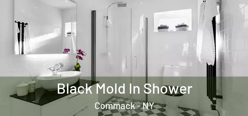 Black Mold In Shower Commack - NY