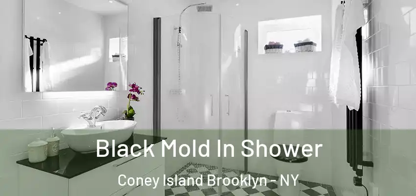 Black Mold In Shower Coney Island Brooklyn - NY