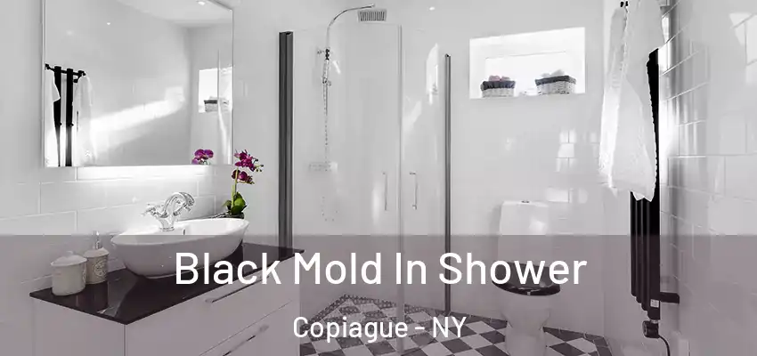  Black Mold In Shower Copiague - NY