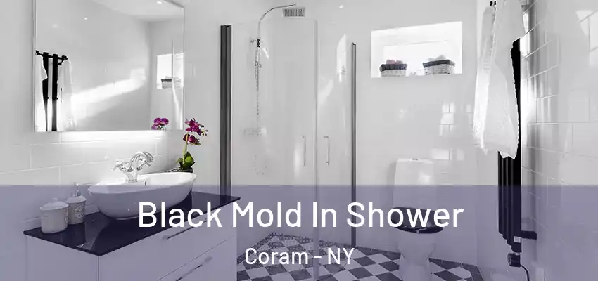  Black Mold In Shower Coram - NY