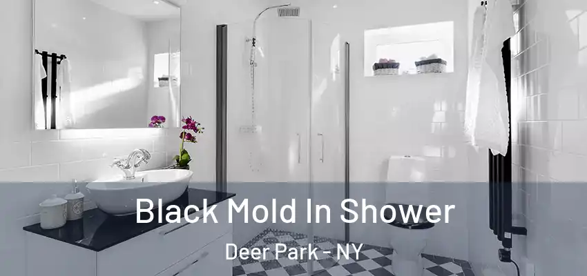  Black Mold In Shower Deer Park - NY