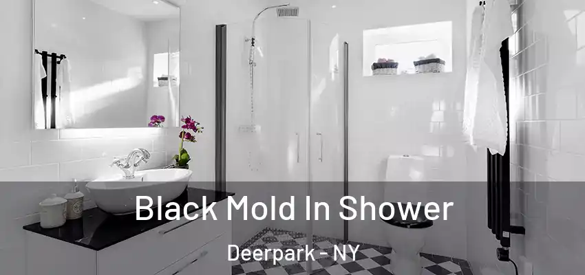  Black Mold In Shower Deerpark - NY