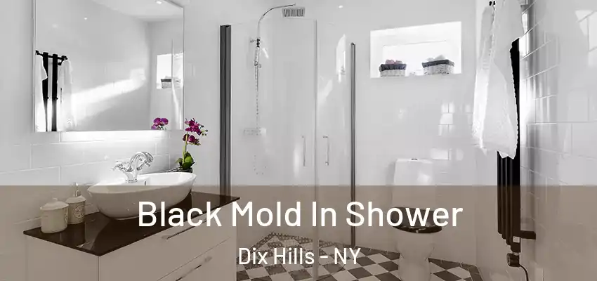  Black Mold In Shower Dix Hills - NY