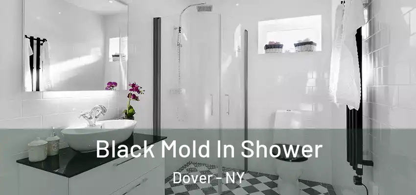 Black Mold In Shower Dover - NY