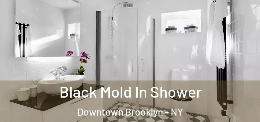 Black Mold In Shower Downtown Brooklyn - NY