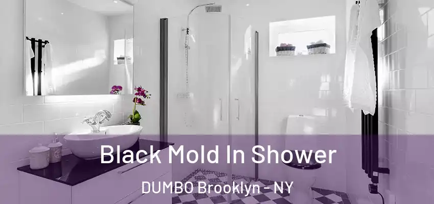  Black Mold In Shower DUMBO Brooklyn - NY