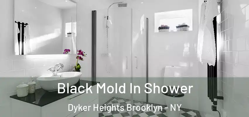  Black Mold In Shower Dyker Heights Brooklyn - NY