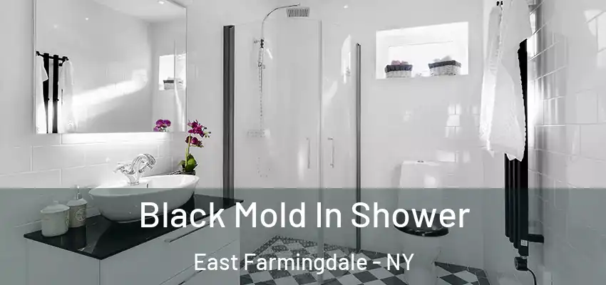 Black Mold In Shower East Farmingdale - NY