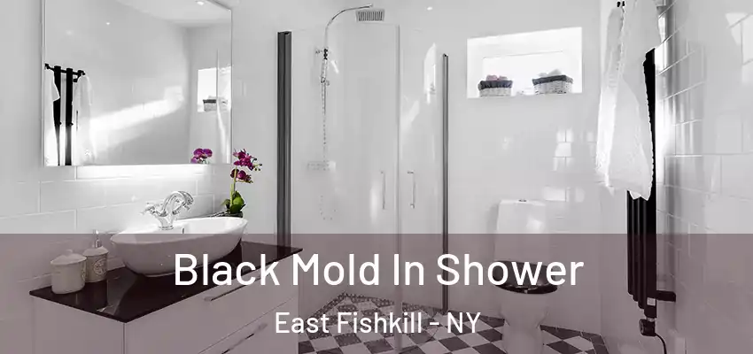  Black Mold In Shower East Fishkill - NY