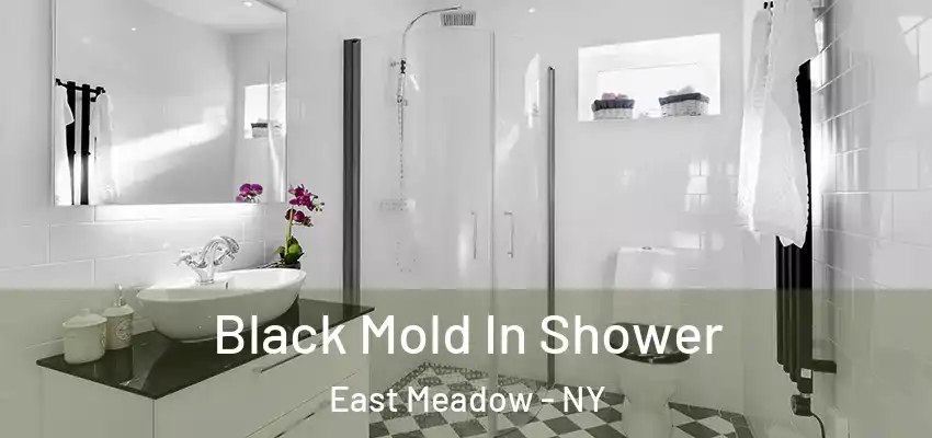  Black Mold In Shower East Meadow - NY