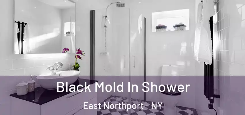 Black Mold In Shower East Northport - NY