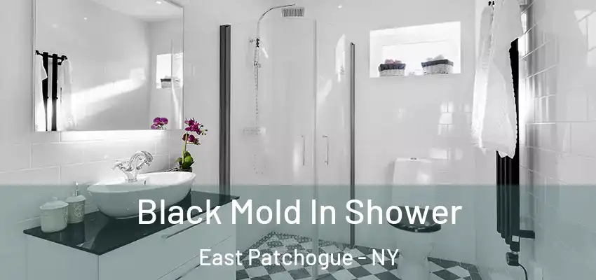  Black Mold In Shower East Patchogue - NY