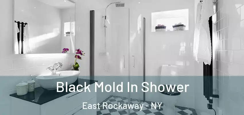  Black Mold In Shower East Rockaway - NY