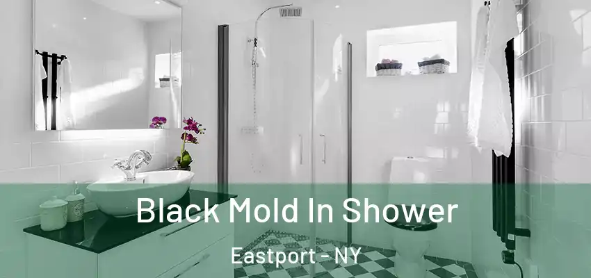 Black Mold In Shower Eastport - NY