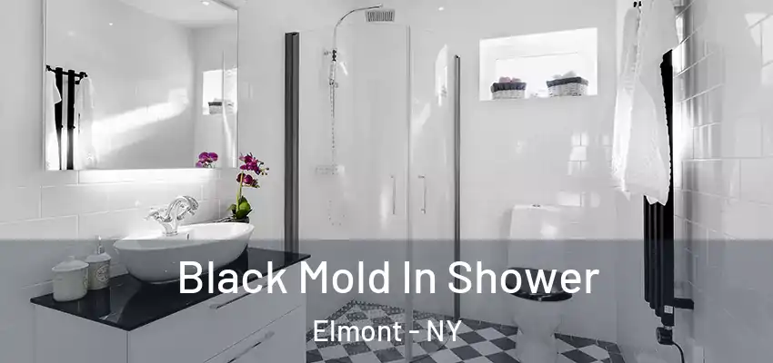  Black Mold In Shower Elmont - NY