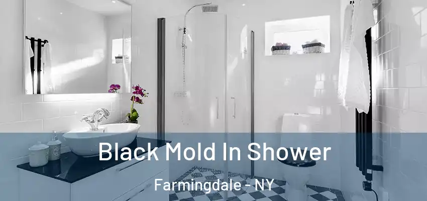  Black Mold In Shower Farmingdale - NY