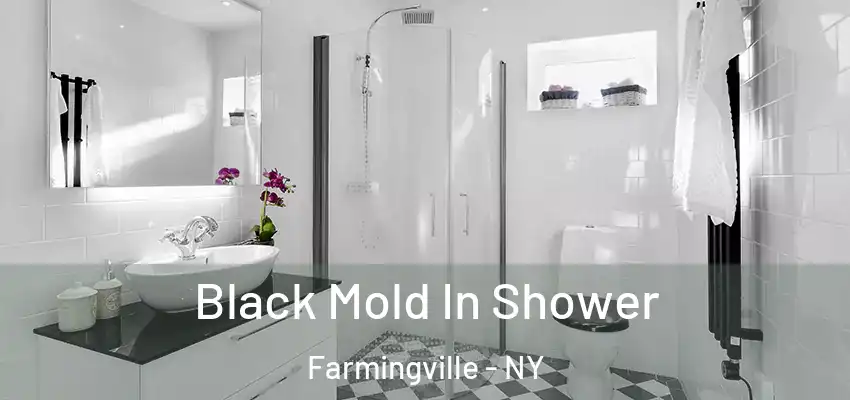  Black Mold In Shower Farmingville - NY