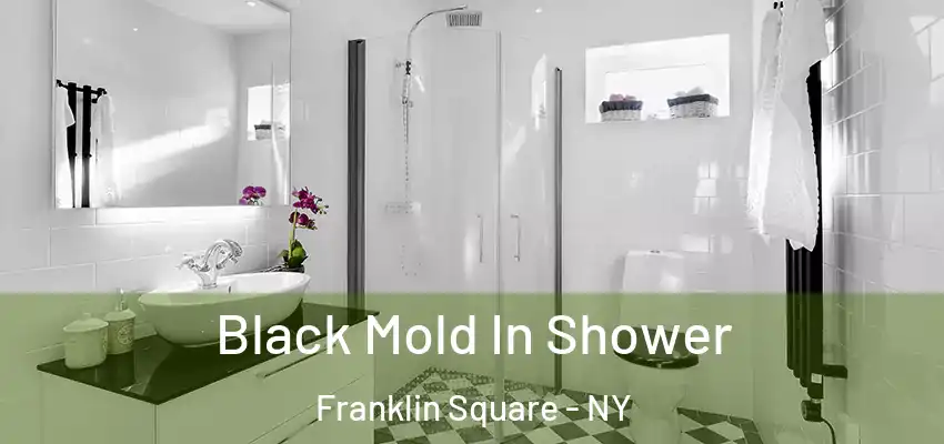 Black Mold In Shower Franklin Square - NY