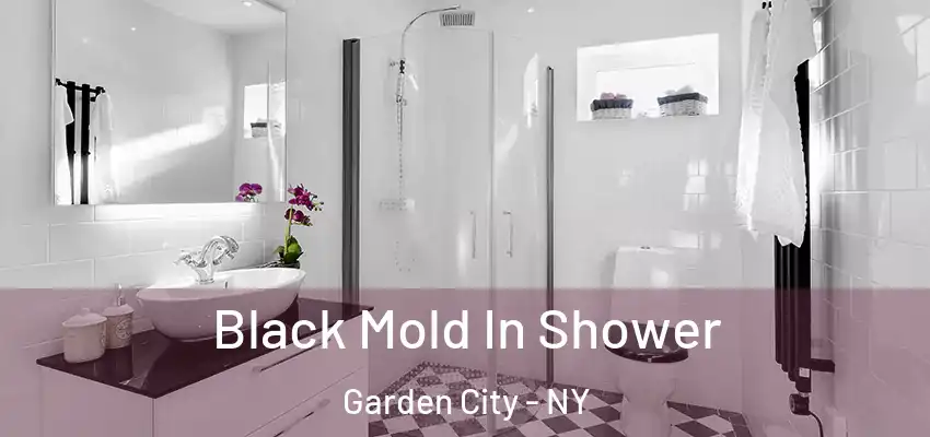  Black Mold In Shower Garden City - NY