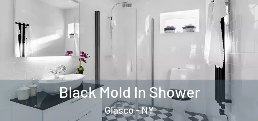  Black Mold In Shower Glasco - NY