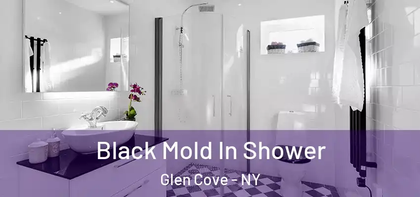  Black Mold In Shower Glen Cove - NY