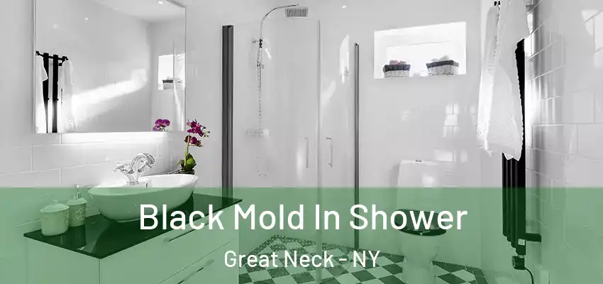  Black Mold In Shower Great Neck - NY