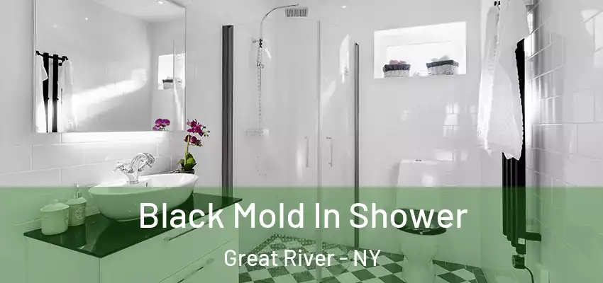  Black Mold In Shower Great River - NY