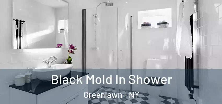  Black Mold In Shower Greenlawn - NY