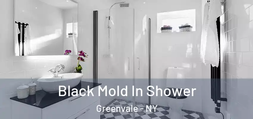 Black Mold In Shower Greenvale - NY