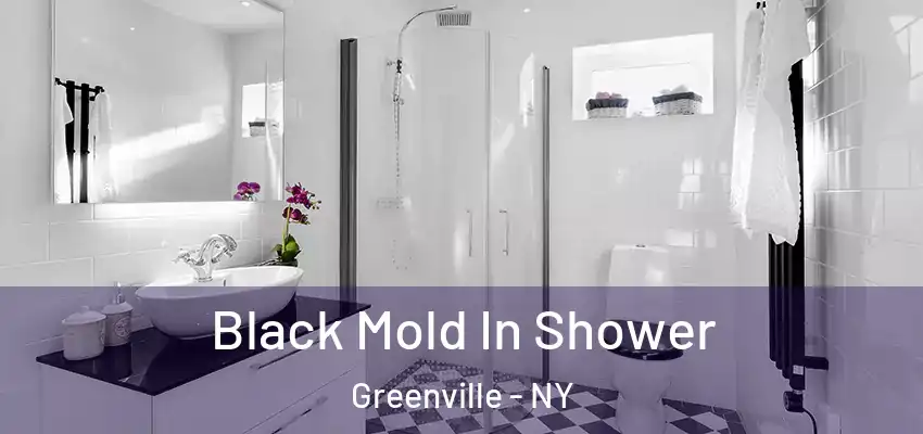  Black Mold In Shower Greenville - NY