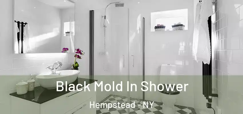 Black Mold In Shower Hempstead - NY