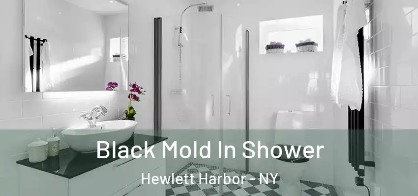  Black Mold In Shower Hewlett Harbor - NY