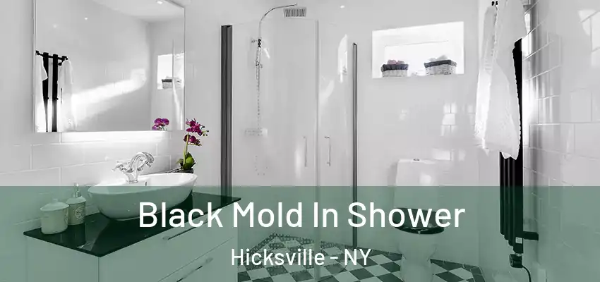  Black Mold In Shower Hicksville - NY