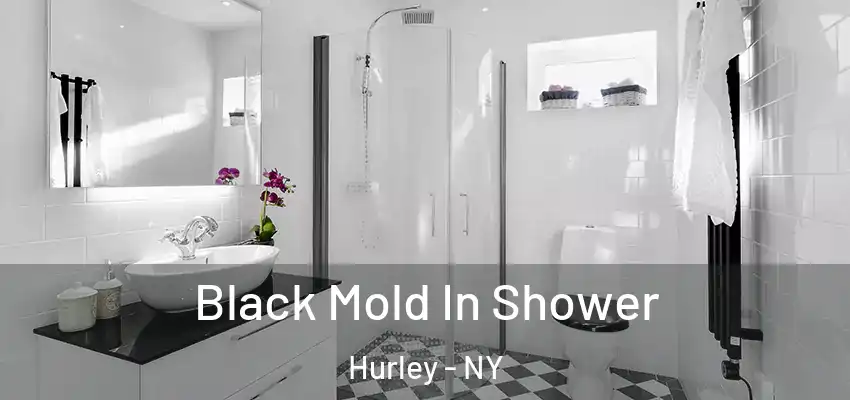  Black Mold In Shower Hurley - NY