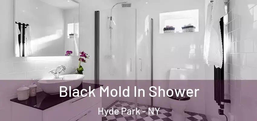 Black Mold In Shower Hyde Park - NY