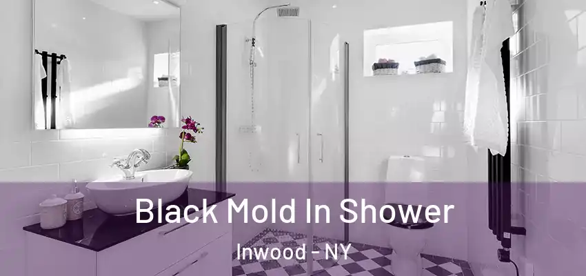 Black Mold In Shower Inwood - NY