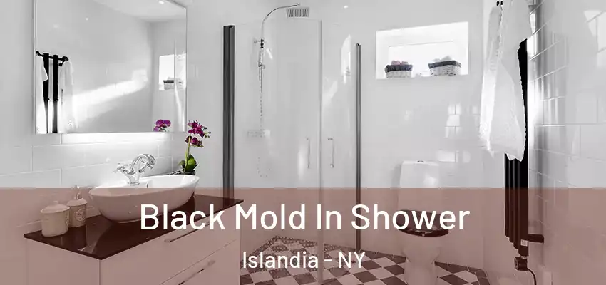 Black Mold In Shower Islandia - NY