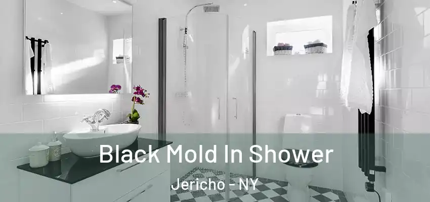 Black Mold In Shower Jericho - NY