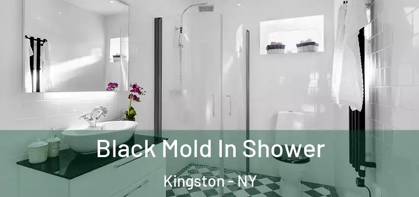 Black Mold In Shower Kingston - NY