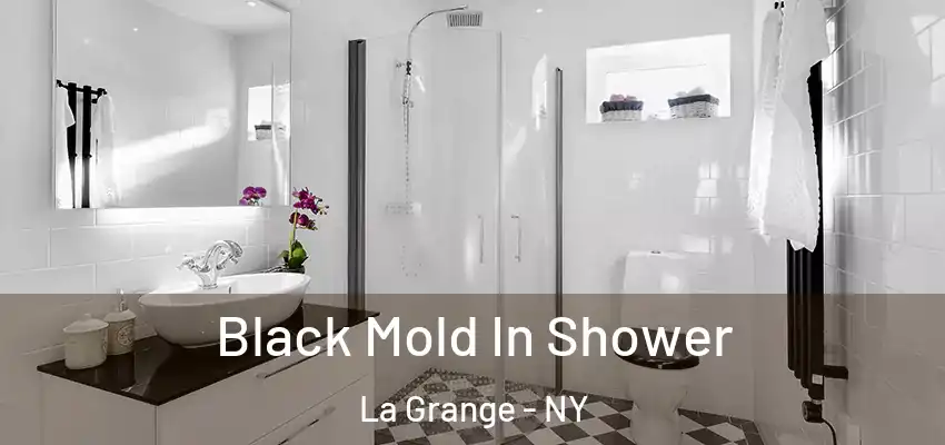 Black Mold In Shower La Grange - NY