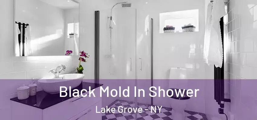 Black Mold In Shower Lake Grove - NY