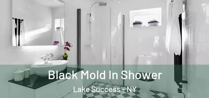  Black Mold In Shower Lake Success - NY