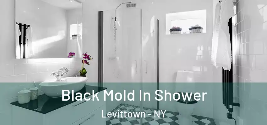  Black Mold In Shower Levittown - NY
