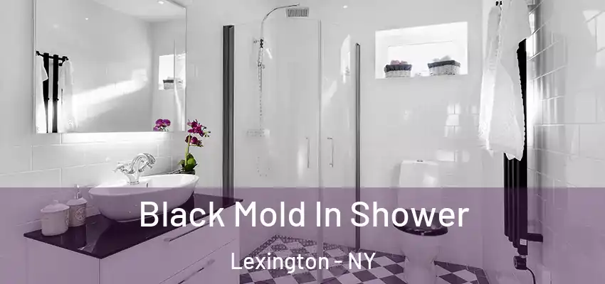  Black Mold In Shower Lexington - NY