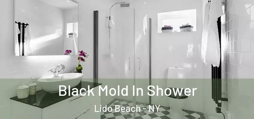  Black Mold In Shower Lido Beach - NY