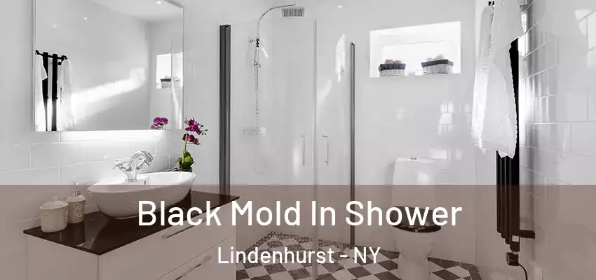  Black Mold In Shower Lindenhurst - NY