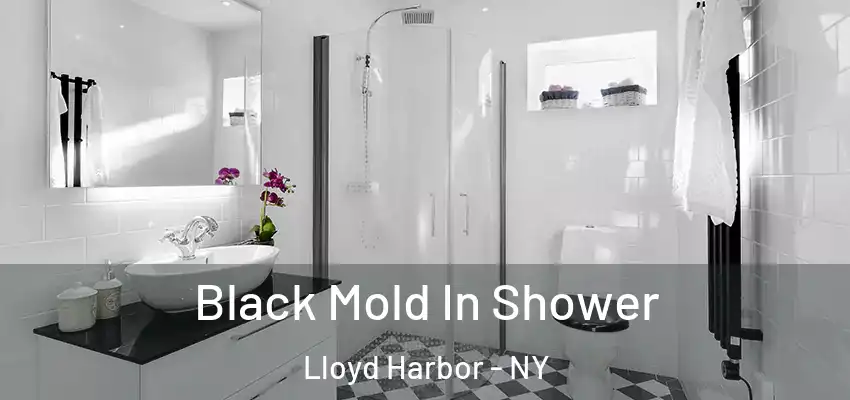  Black Mold In Shower Lloyd Harbor - NY