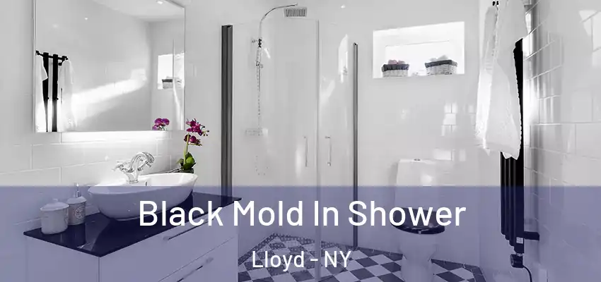 Black Mold In Shower Lloyd - NY