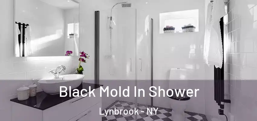  Black Mold In Shower Lynbrook - NY