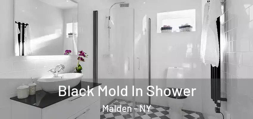  Black Mold In Shower Malden - NY